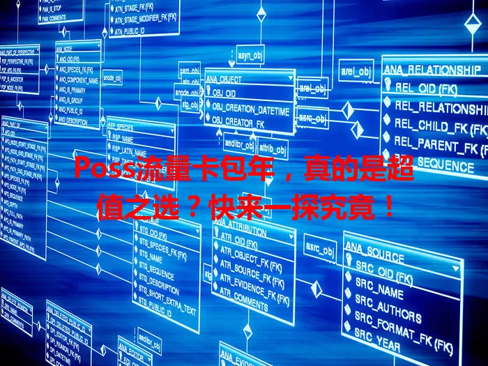 Poss流量卡包年，真的是超值之选？快来一探究竟！