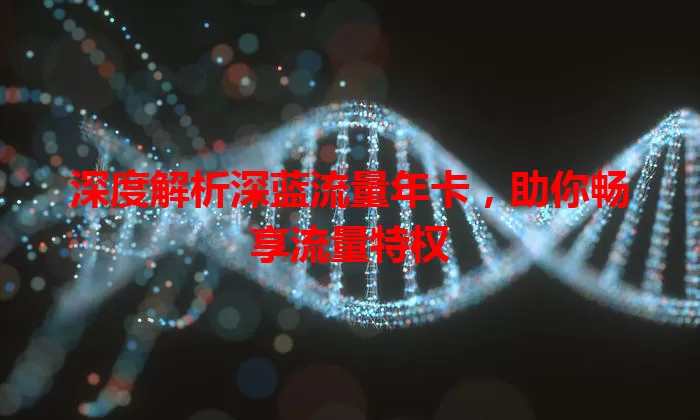 深度解析深蓝流量年卡，助你畅享流量特权