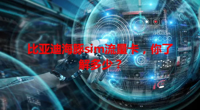 比亚迪海豚sim流量卡，你了解多少？