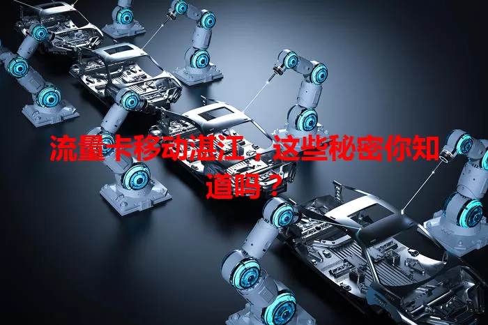 流量卡移动湛江，这些秘密你知道吗？