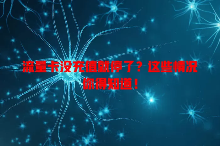 流量卡没充值就停了？这些情况你得知道！