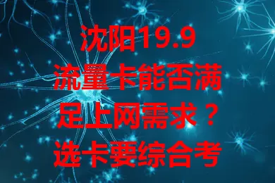 沈阳19.9流量卡能否满足上网需求?选卡要综合考量套餐、网络等多因素