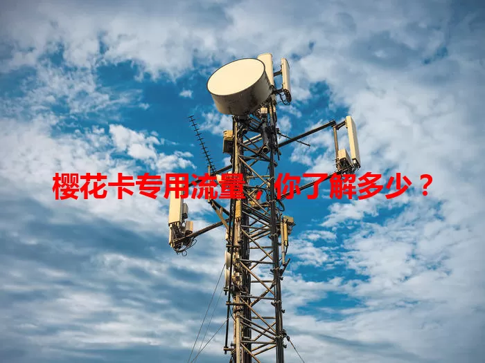 樱花卡专用流量，你了解多少？
