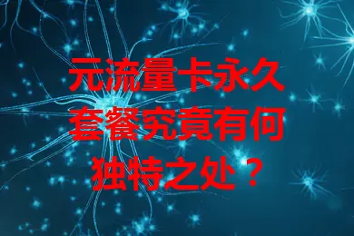 元流量卡永久套餐究竟有何独特之处？