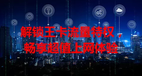 解锁王卡流量特权，畅享超值上网体验