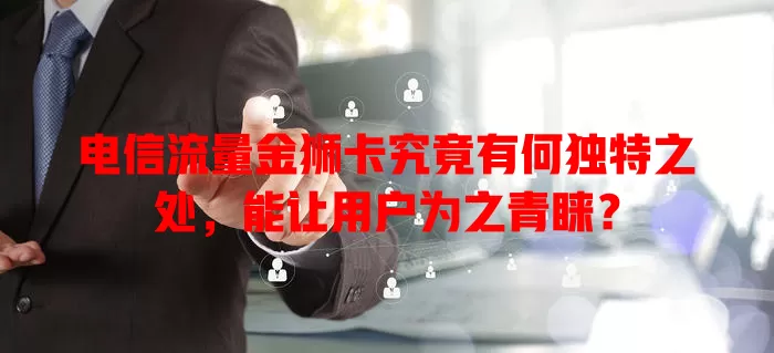 电信流量金狮卡究竟有何独特之处，能让用户为之青睐？