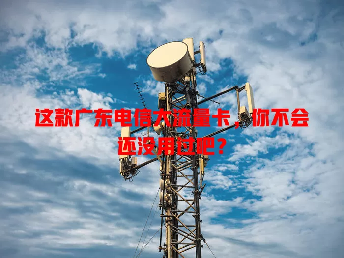 这款广东电信大流量卡，你不会还没用过吧？