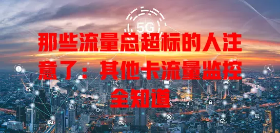 那些流量总超标的人注意了：其他卡流量监控全知道