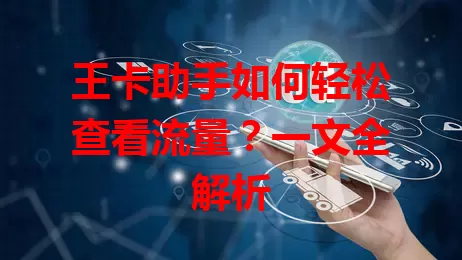 王卡助手如何轻松查看流量？一文全解析