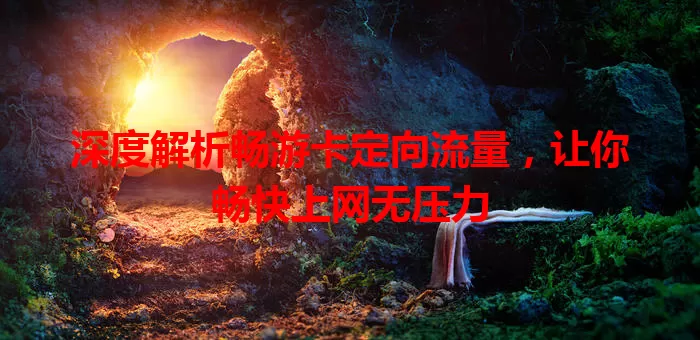 深度解析畅游卡定向流量，让你畅快上网无压力