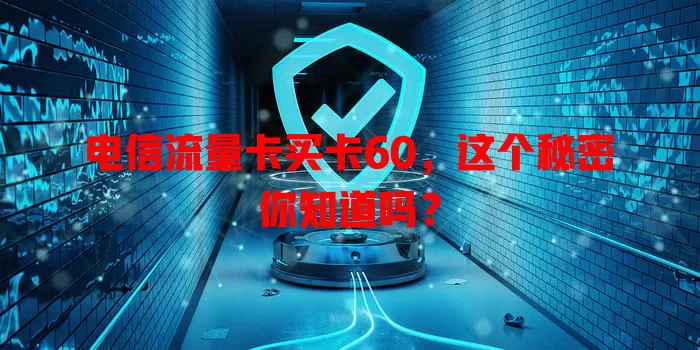 电信流量卡买卡60，这个秘密你知道吗？