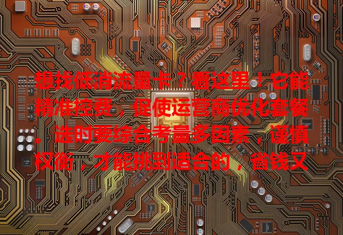 想找低消流量卡？看这里！它能精准控费，促使运营商优化套餐。选时要综合考量多因素，谨慎权衡，才能挑到适合的，省钱又畅享网络
