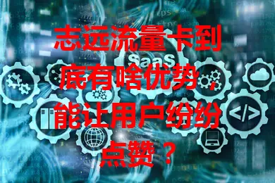 志远流量卡到底有啥优势，能让用户纷纷点赞？