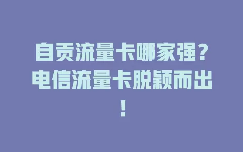 自贡流量卡哪家强？电信流量卡脱颖而出！