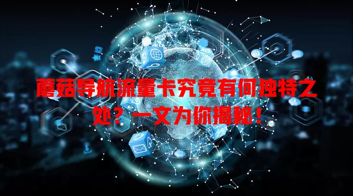 蘑菇导航流量卡究竟有何独特之处？一文为你揭秘！