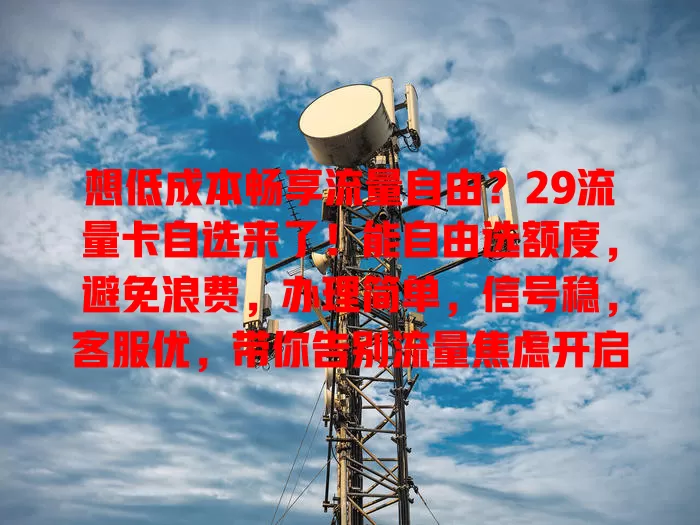 想低成本畅享流量自由？29流量卡自选来了！能自由选额度，避免浪费，办理简单，信号稳，客服优，带你告别流量焦虑开启自由之旅
