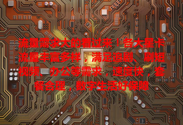 流量需求大的看过来！各大星卡流量丰富多样，满足追剧、刷短视频、办公等需求，速度快，套餐合理，数字生活好保障