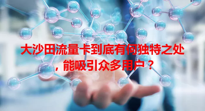 大沙田流量卡到底有何独特之处，能吸引众多用户？