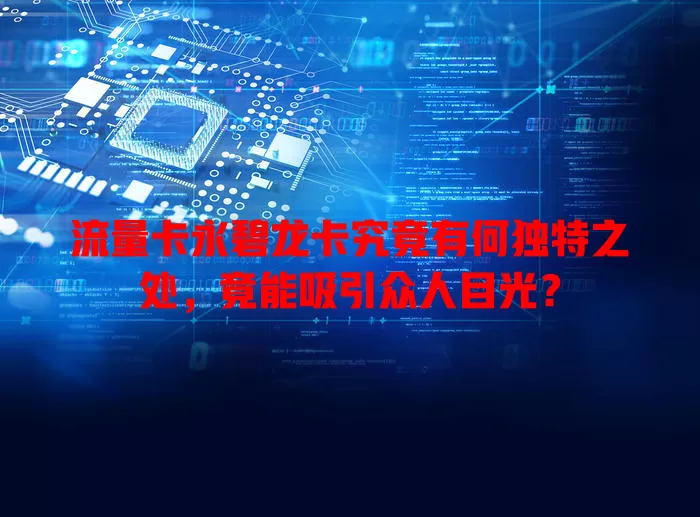 流量卡永碧龙卡究竟有何独特之处，竟能吸引众人目光？