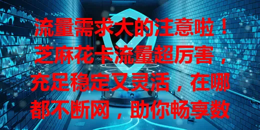 流量需求大的注意啦！芝麻花卡流量超厉害，充足稳定又灵活，在哪都不断网，助你畅享数字生活，解决流量烦恼！