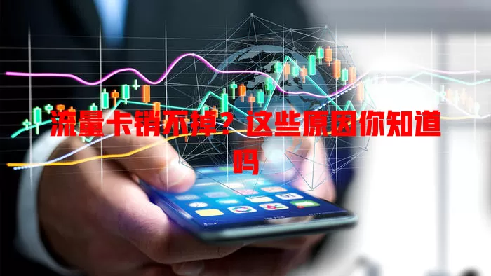 流量卡销不掉？这些原因你知道吗