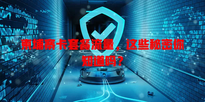 柬埔寨卡套餐流量，这些秘密你知道吗？