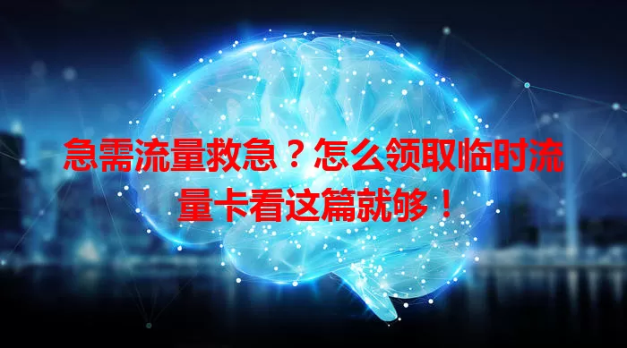 急需流量救急？怎么领取临时流量卡看这篇就够！