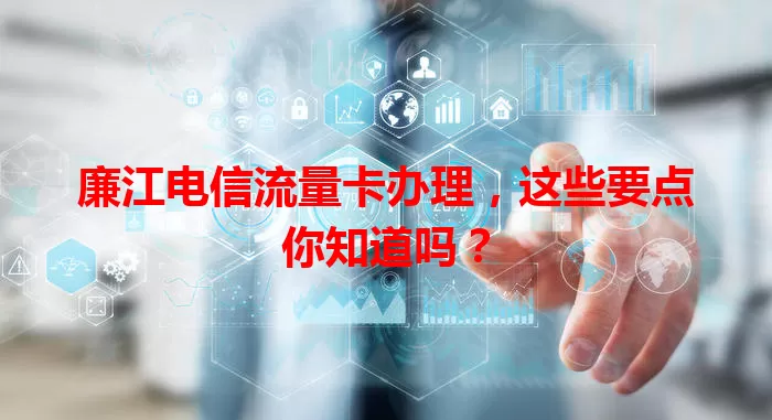 廉江电信流量卡办理，这些要点你知道吗？