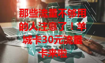那些流量不够用的人注意了！羊城卡30元流量卡来啦