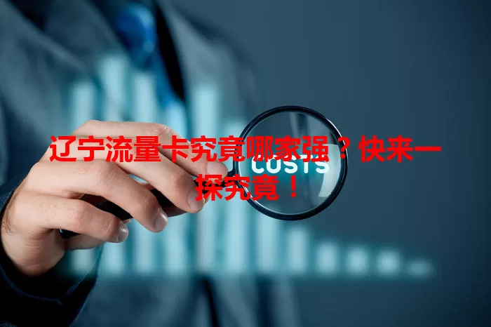 辽宁流量卡究竟哪家强？快来一探究竟！