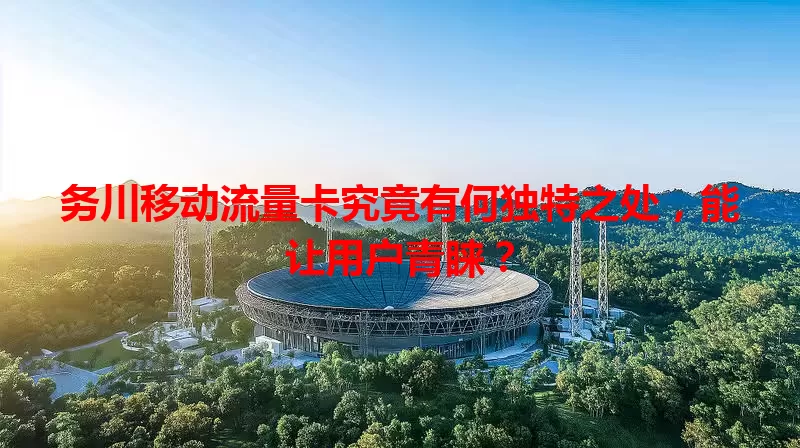 务川移动流量卡究竟有何独特之处，能让用户青睐？