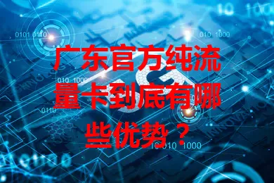 广东官方纯流量卡到底有哪些优势？