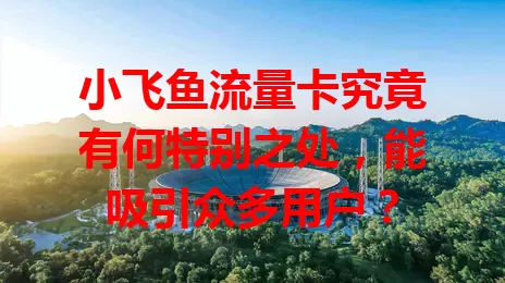 小飞鱼流量卡究竟有何特别之处，能吸引众多用户？