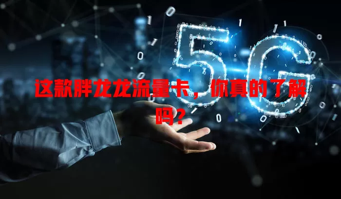 这款胖龙龙流量卡，你真的了解吗？