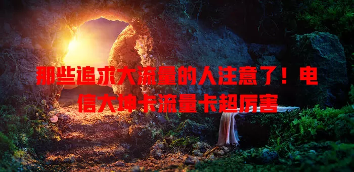 那些追求大流量的人注意了！电信大坤卡流量卡超厉害