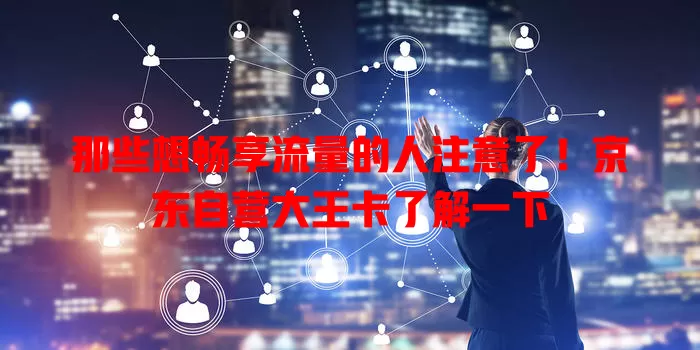 那些想畅享流量的人注意了！京东自营大王卡了解一下