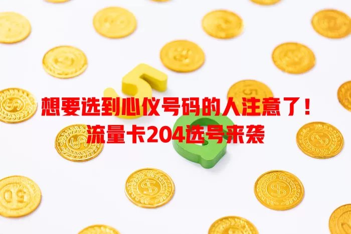 想要选到心仪号码的人注意了！流量卡204选号来袭