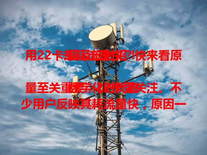 用22卡却耗流量快？快来看原因及应对招！

数字化时代流量至关重要，22卡受关注。不少用户反映其耗流量快，原因一是应用程序功能丰富致流量大量消耗，二是后台程序偷偷耗。应对可检查应用设置，关自动更新等，视频设标清，定期查流量，无Wi-Fi时避免不必要网络连接。