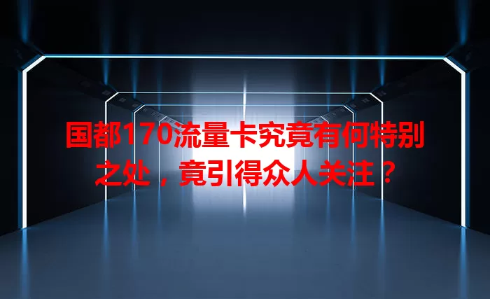 国都170流量卡究竟有何特别之处，竟引得众人关注？