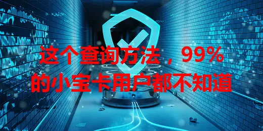 这个查询方法，99%的小宝卡用户都不知道