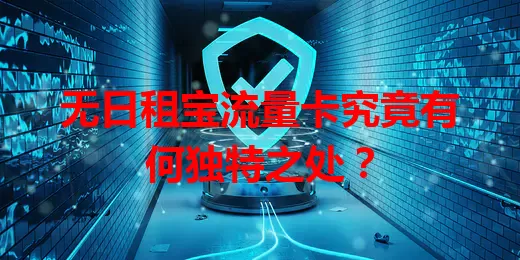 无日租宝流量卡究竟有何独特之处？