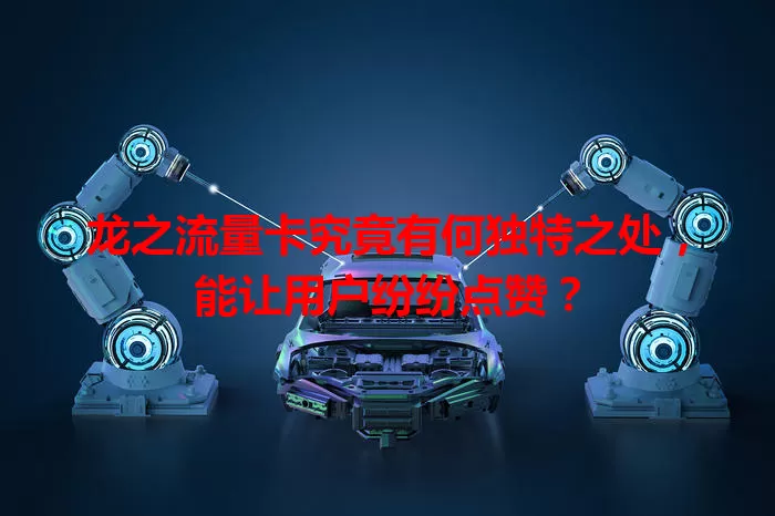 龙之流量卡究竟有何独特之处，能让用户纷纷点赞？
