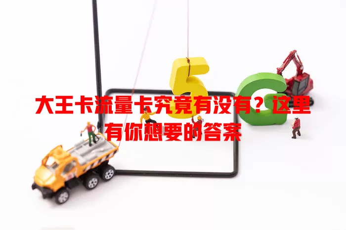 大王卡流量卡究竟有没有？这里有你想要的答案