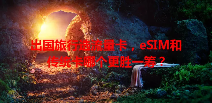 出国旅行选流量卡，eSIM和传统卡哪个更胜一筹？