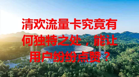 清欢流量卡究竟有何独特之处，能让用户纷纷点赞？