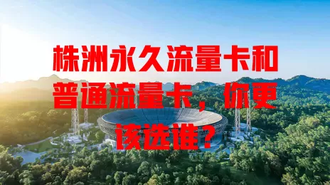 株洲永久流量卡和普通流量卡，你更该选谁？