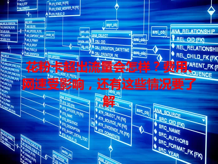花粉卡超出流量会怎样？费用、网速受影响，还有这些情况要了解