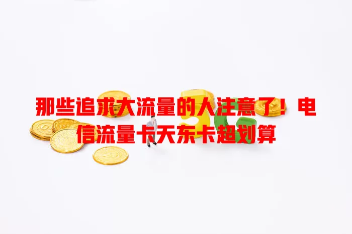 那些追求大流量的人注意了！电信流量卡天东卡超划算