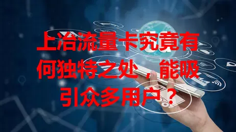 上冶流量卡究竟有何独特之处，能吸引众多用户？