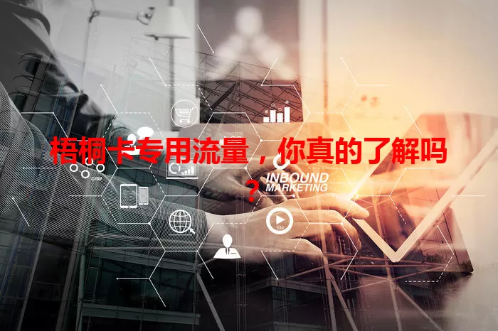 梧桐卡专用流量，你真的了解吗？